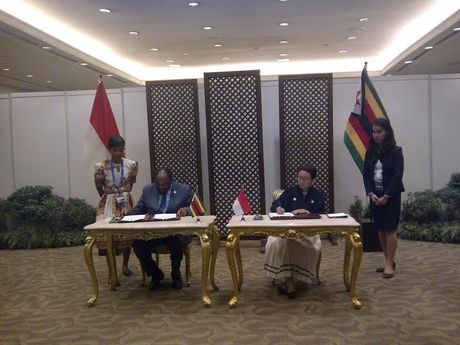 Zimbabwe dan Madagaskar Tertarik Pesawat Buatan Indonesia