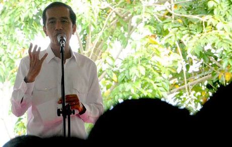 Jokowi Akan Percepat Pembangunan di Kepulauan Maluku