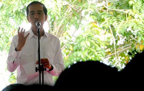 Jokowi Akan Percepat Pembangunan di Kepulauan Maluku Jokowi Akan Percepat Pembangunan di Kepulauan Maluku