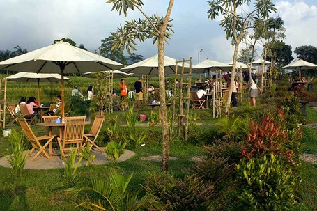 Refreshing di Alam Hijau dengan Mengunjungi Kebun Teh Kemuning