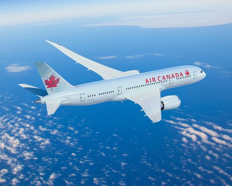 Demi Selamatkan Anjing, Pesawat Air Canada Mendarat Darurat