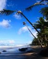 Pulau Mentawai, Sumbar