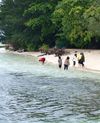 Pulau Semak Daun, DKI Jakarta