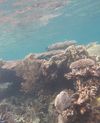 Pulau Kecil, Karimunjawa