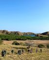 Pulau Rinca, NTT