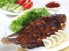 Saung Fitri