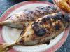 Ikan Tude Manado