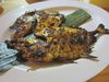 Kampoeng Dermaga
