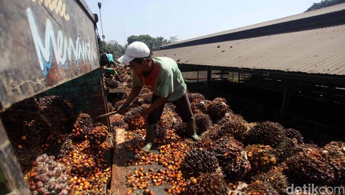 RI-Malaysia Satu Suara Tolak Rencana Prancis Naikkan Pajak Impor CPO