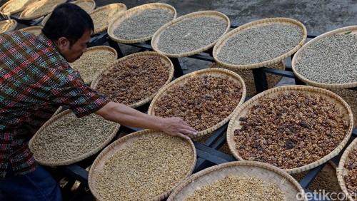 JK: Vietnam Salip RI di Urutan Produsen Kopi Dunia