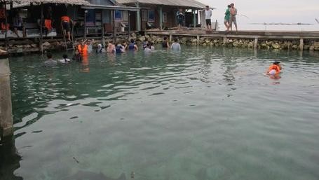 Tur Pelni Lets Go Karimun Jawa Diminati Turis Tur Pelni Lets Go Karimun Jawa Diminati Turis