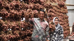 Sempat Menolak, Mentan Akhirnya Sepakati Impor Bawang Merah Sempat Menolak, Mentan Akhirnya Sepakati Impor Bawang Merah