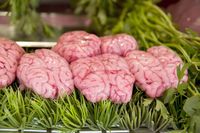 Kandungan DHA dan B12 dalam otak sapi merupakan manfaat yang ditawarkan ketika mengonsumsinya. Ukuran saji otak sapi per 113 gram sama dengan 162 kkal, 12 gram lemak  dan 12 gram protein. Foto: Thinkstock