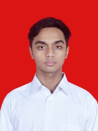 image kolumnis
