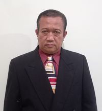 image kolumnis