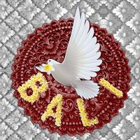 img user