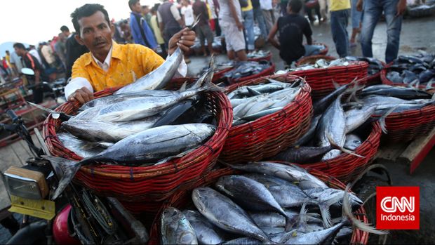 Cerita Nelayan Menjala Rezeki di Natuna