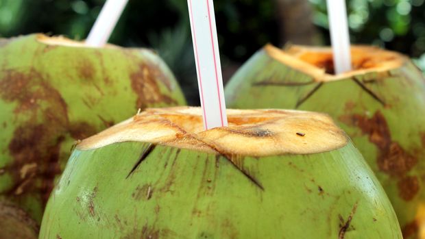 Barack Obama juga menikmati air kelapa di Bali