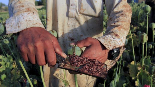 Napak Tilas Serbuk Opium di Golden Triangle