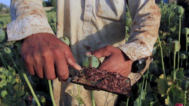 Menyusuri Jejak Opium Di Golden Triangle