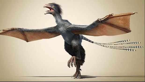 300 Gambar Dinosaurus Sebenar HD Paling Baru 300 Gambar Dinosaurus Sebenar HD Paling Baru