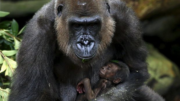 Belasan Objek Wisata Terancam Rusak Akibat Perubahan Iklim