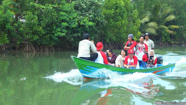 Hutan Bakau Kebumen Penahan Tsunami Jadi Calon Obyek Wisata