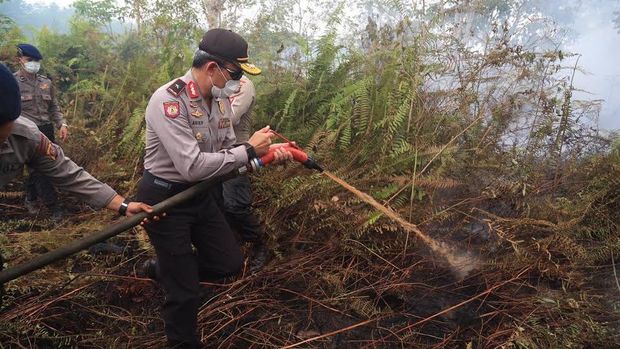 Contoh Berita Kebakaran Hutan - JobsDB