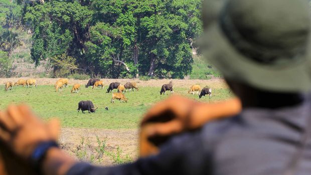 Sepuluh Objek Wisata Populer di Banyuwangi