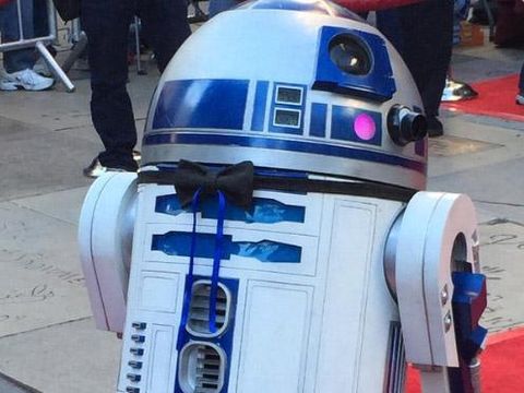 Pasangan Penggemar Star Wars Menikah di Premier 'The Force Awakens'