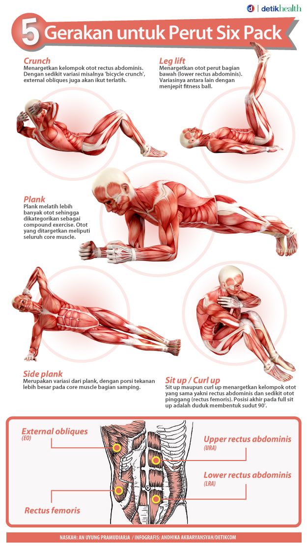 Latihan Otot Perut | OSBORN