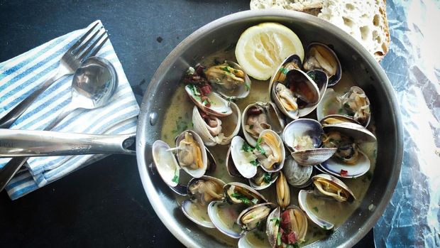 ilustrasi kerang