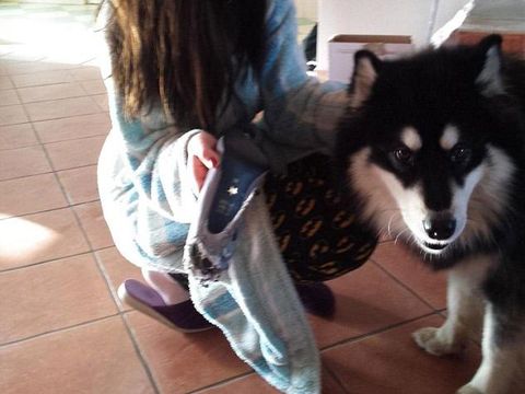 So Sweet, Pria Ini Reparasi Sepatu Kekasihnya yang Rusak Jadi Futuristik So Sweet, Pria Ini Reparasi Sepatu Kekasihnya yang Rusak Jadi Futuristik