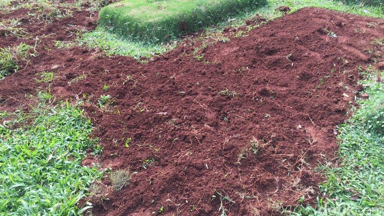 Berapa Tarif Makam Fiktif di Pondok Ranggon? Penjaga Makam: Dulu Rp 3 Juta