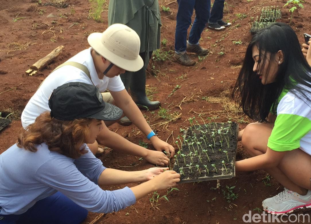 Hari Ini Kelompok Petani Urban Lakukan Tanam Perdana