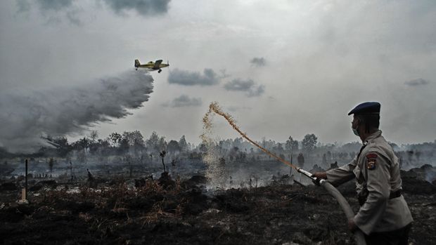Kebakaran hutan yang diduga dilakukan oleh perusahaan. (ANTARA FOTO/Rony Muharrman)