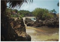 Coba Kemping Di Pantai Sayang Heulang Yuk!