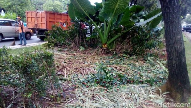 Penampakan taman di depan Balai Kota DKI hancur (Foto: Jabbar Ramdhani/detikcom)