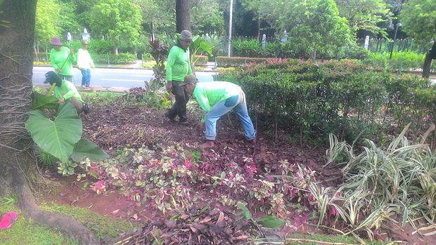  Tanaman Depan Balai Kota yang Rusak Terinjak Diperbaiki, Ini Penampakannya