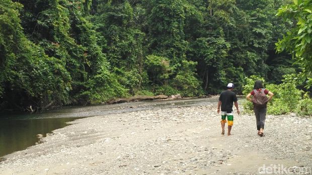 Trekking menuju Kalibiru (Wahyu/detikTravel)