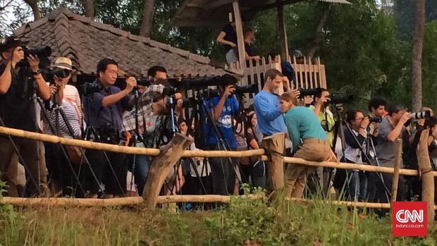 (CNN Indonesia/Agnes Winastiti)