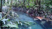 Aliran sungai mulai berubah warna menjadi biru (Wahyu/detikTravel)