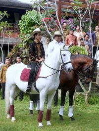 Prabowo ajak Jokowi berkuda di rumahnya di Hambalang