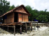 Satu Lagi Keajaiban Alam dari Raja Ampat, Laguna Cantik 