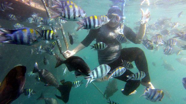 Berenang bersama aneka jenis ikan (Kartika/detikTravel)