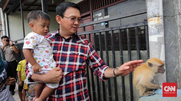 Basuki Tjahaja Purnama dalam salah satu aktivitas kampanye. (CNN Indonesia/Safir Makki)