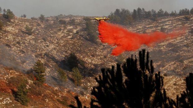 Kebakaran Hutan Merajalela di Israel, Separuhnya karena Kesengajaan