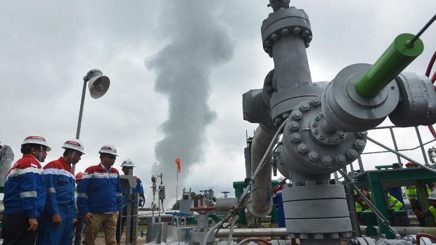 Meneropong Energi Terbarukan Delapan Tahun Mendatang