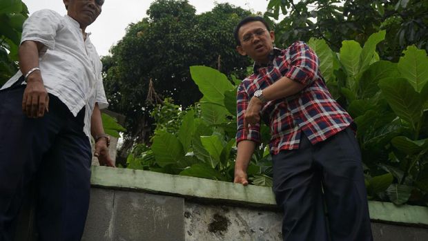 Aksi Ahok Panjat Tembok Lihat Sungai di Pasar Minggu