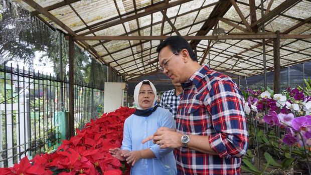 Usai Pelimpahan Bukti di Kejagung, Ahok Blusukan ke Ragunan